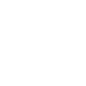 some_logo